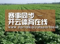 种植基地五