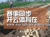 种植基地八