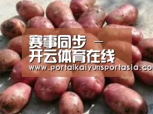 产品展示标题5