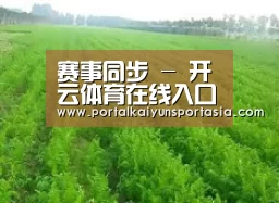 种植基地四