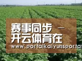 种植基地五(图1)