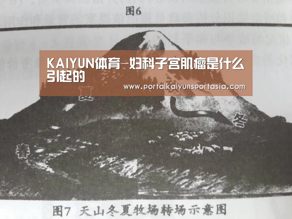 KAIYUN体育-妇科子宫肌瘤是什么引起的(图2) 开云体育官网
