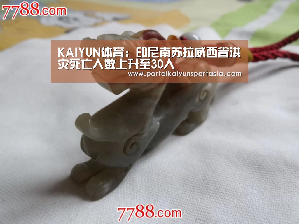 开云官方网站