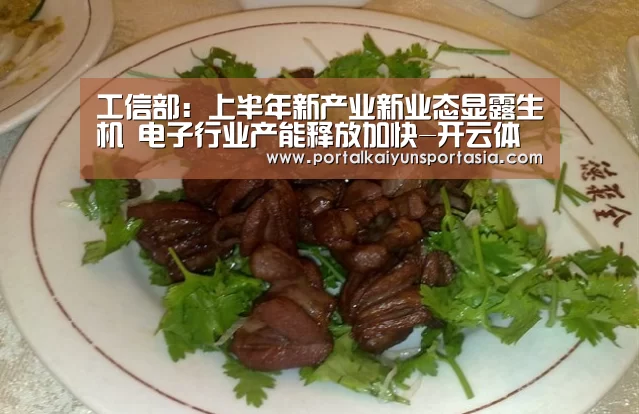 工信部:上半年新产业新业态显露生机 电子行业产能释放加快-开云体育官网(图3) 开云体育官网