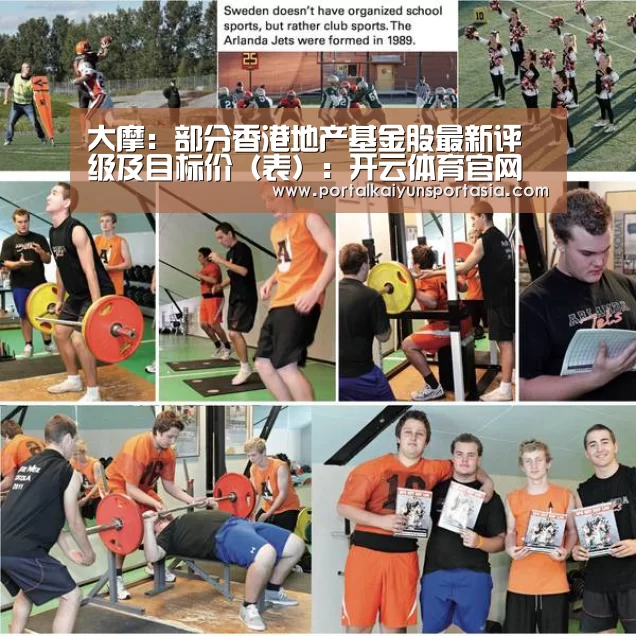 大摩:部分香港地产基金股最新评级及目标价(表):开云体育官网(图3) KAIYUN体育