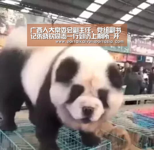 广西人大常委会副主任、党组副书记张晓钦同志一行到访上期所-开云体育官网(图2) 开云官方网站